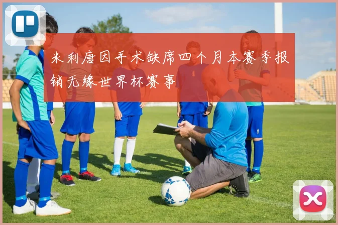 米利唐因手术缺席四个月本赛季报销无缘世界杯赛事