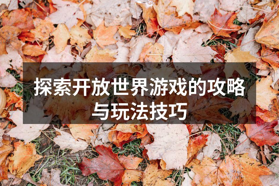 探索开放世界游戏的攻略与玩法技巧