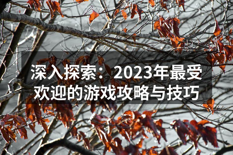 深入探索：2023年最受欢迎的游戏攻略与